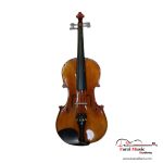 violin-maxtor-pro-1